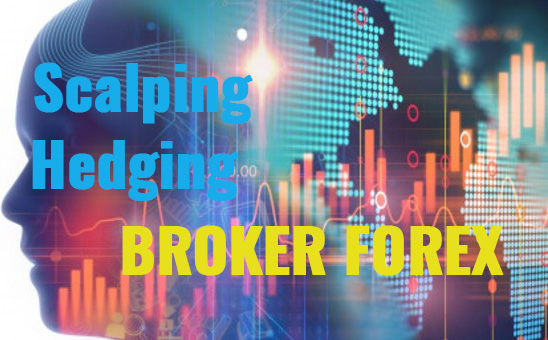 Broker Forex Terbaik untuk Scalping dan Hedging